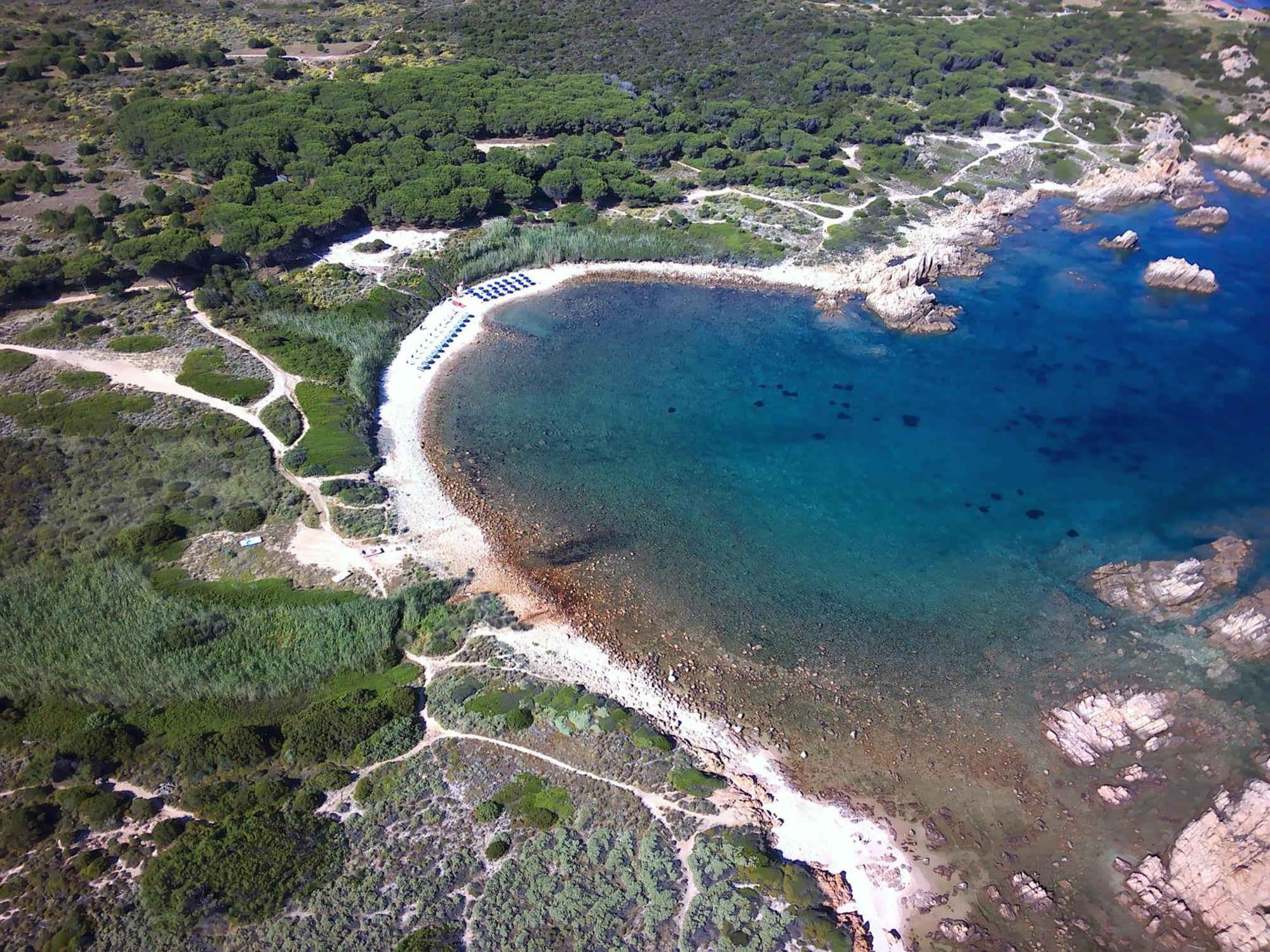 Gli Oleandri Di Calarossa - 5M Walk To The Beach Isola Rossa Zewnętrze zdjęcie